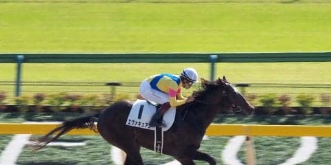 【東京5R/新馬戦】単勝1.4倍エヴァキュアンが楽勝