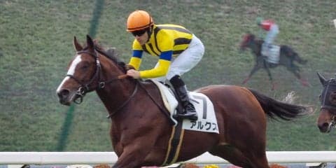 【京都5R/2歳新馬】アルクスが鋭いキレを発揮して差し切りV！