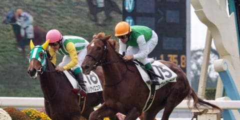 【京都4R/2歳新馬】サヴォワールエメがデビューV！ジェンティルドンナの仔は4着まで