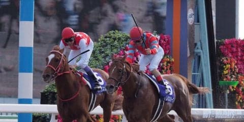 【JBCスプリント】ルメールの神騎乗炸裂！グレイスフルリープがゴール寸前マテラスカイを捉える