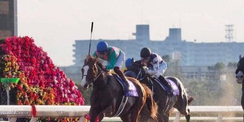 【JBCクラシック】ケイティブレイブが差し切る！交流G1 3勝目を決める