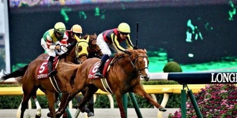 【アルゼンチン共和国杯】パフォーマプロミスが32.6の末脚で差し切る！