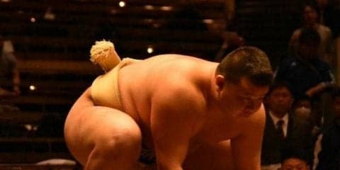 【相撲部】インカレまさかの初戦敗退で４年生引退