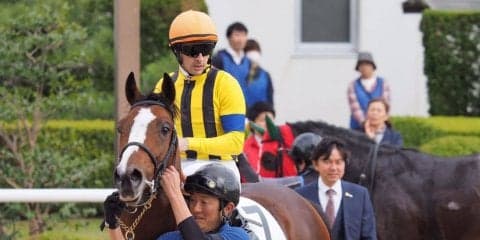 【京都5R/2歳新馬】ルメール「絶対いい馬になる」アルクスに手応え