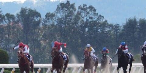 【JBCスプリント】森泰斗「軽いダートが…」レース後 ジョッキーコメント