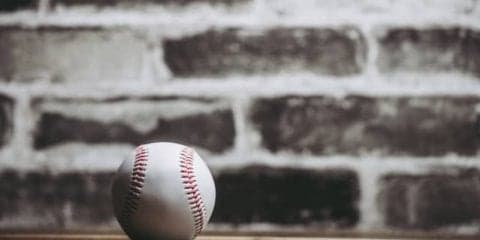 日本球界、メジャーリーグ、吉本興業の契約社員…異色の経歴で球界に新風を起こす