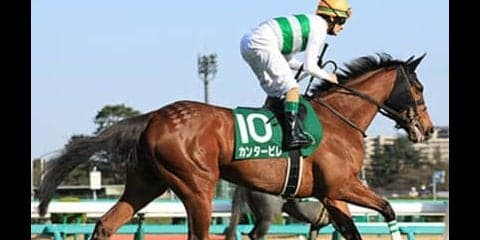 エリザベス女王杯は３歳と４歳に注目。カンタ－ビレは勝ち要素が多いぞ
