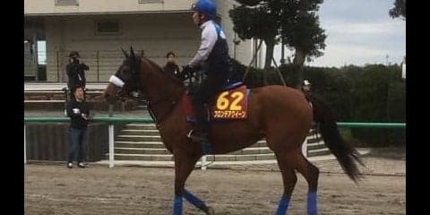 【エリザベス女王杯】フロンテアクイーン 4戦連続重賞で馬券圏内