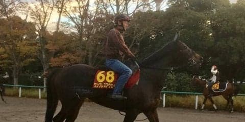 【エリザベス女王杯】ワンブレスアウェイ 古賀慎「最近は精神的に安定」