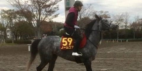 【エリザベス女王杯】ノームコア 鞍上ルメールは大きな魅力