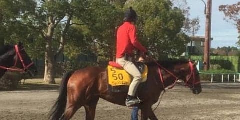 【武蔵野S】グレンツェント 9ヶ月半ぶりの実戦も得意の条件