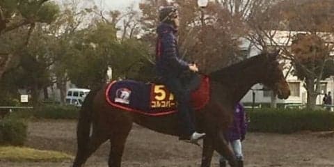 【エリザベス女王杯】コルコバード 木村師「春から逆算して意識していた舞台」