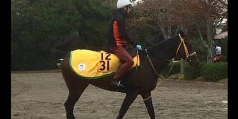 【福島記念】トミケンスラーヴァ 菜七子「器用なので福島は合いそうです」