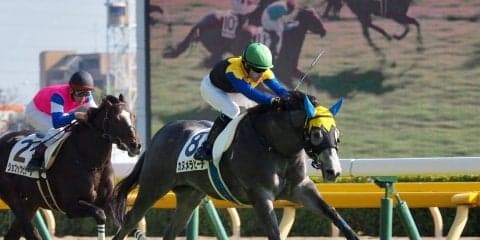 【東京6R/2歳新馬】ロードカナロア産駒 カヌメラビーチが完勝