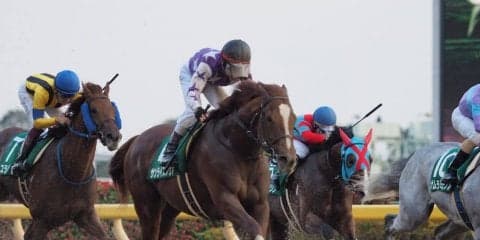 【武蔵野S】サンライズノヴァが貫禄の差し切り！重賞2勝目