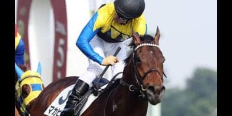 デビュー間近。ダービー馬マカヒキの全弟、ウーリリはどれほどの器か