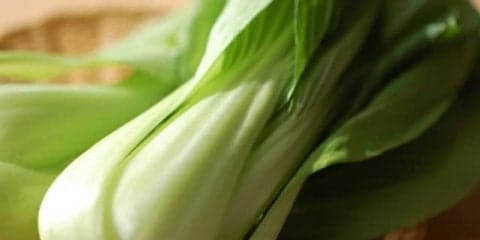 ビタミンやミネラルが豊富で炒め物や汁物などオールマイティに活躍する食べ物