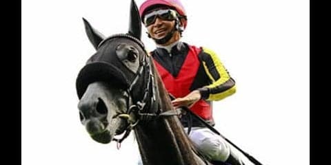 マイルＣＳは女の決闘に注目か。牝馬３頭の血統に好材料が揃っている