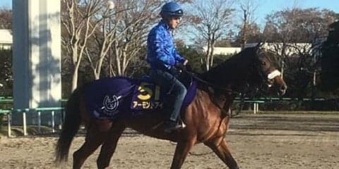 【ジャパンC 1週前】アーモンドアイ ルメール「前走の疲れもなさそう」