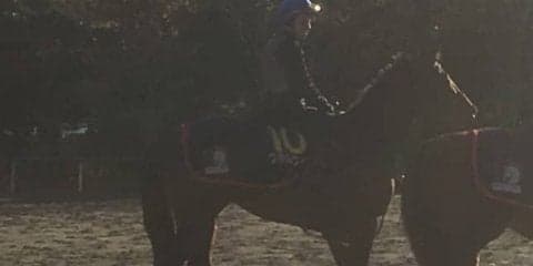 【マイルCS】ステルヴィオ 木村師「能力的にはG1でも…」