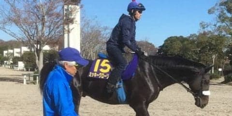 【マイルCS】ミッキーグローリー 国枝師「どこまでやれるか楽しみ」