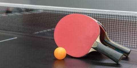 これは胸キュン…　「動物×卓球」動画が未知の次元の可愛さで悶絶