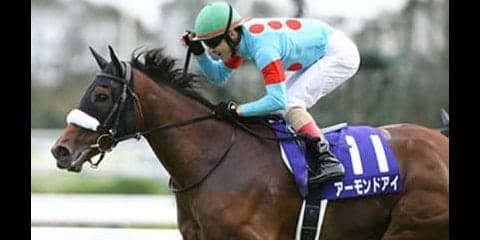女王アーモンドアイがジャパンＣ出走。牡馬に勝利して歴史に名を刻め