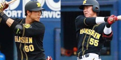 三振率上位占める阪神勢…中谷はじめ2割超え多数　三振率ランキング【セ編】