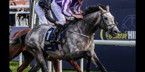 わずか２頭も、今年のジャパンＣに挑む外国馬を侮ってはいけない