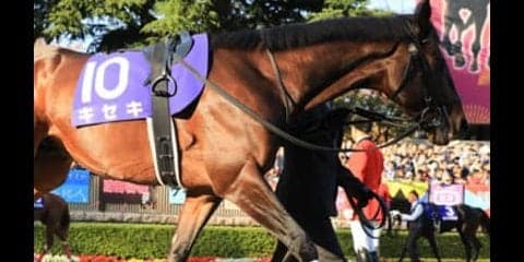 ジャパンＣ、穴党記者が「打倒アーモンドアイ」に指名した意外な４頭