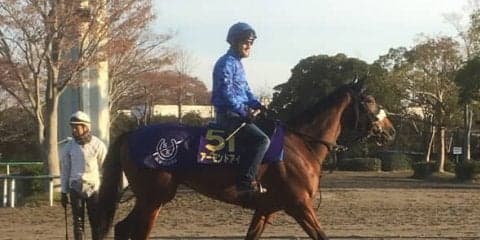 【ジャパンカップ】アーモンドアイ ルメール「自信をもって乗ります」