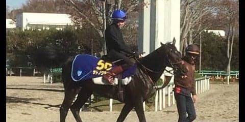 【ジャパンカップ】サトノクラウン G1を2勝と実績上位で巻き返しなるか