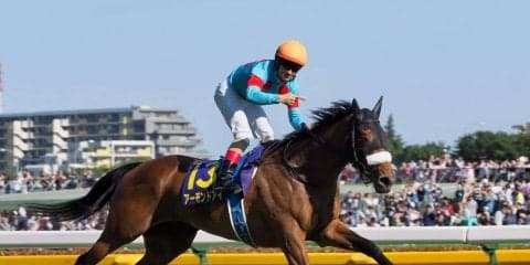 【ジャパンカップ】枠順と見所 アーモンドアイは最内枠