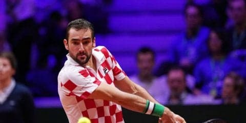 チリッチ、チョリッチがともに勝利。クロアチアが優勝まであと1勝に[デビスカップ]