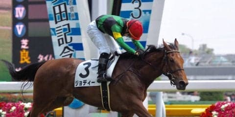 武藤雅騎手が騎乗停止 阪神JFのジョディーは騎乗不可