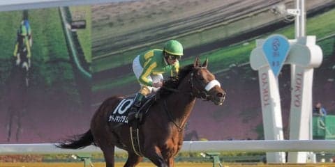 【オリエンタル賞】サトノキングダムが早め先頭から押し切る