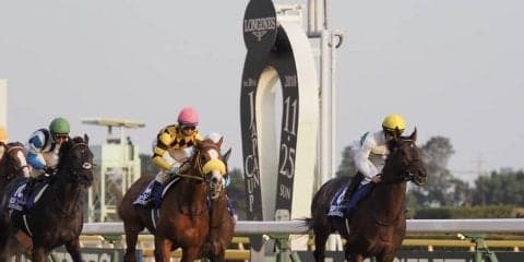 【ジャパンカップ】キセキがマイペースに持ち込み粘る！惜しい2着