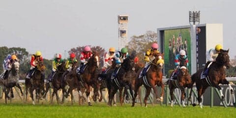 【ジャパンカップ】M.デムーロ「状態は良くなっていました」レース後 関係者コメント