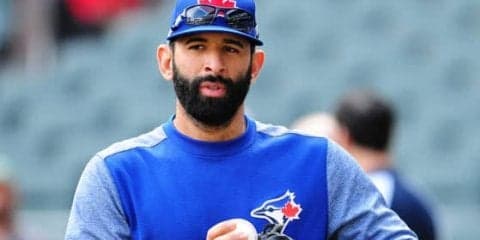 【MLB】蜂のイチローに続きカブトムシのバティスタ!?　加の昆虫学者が新種に命名