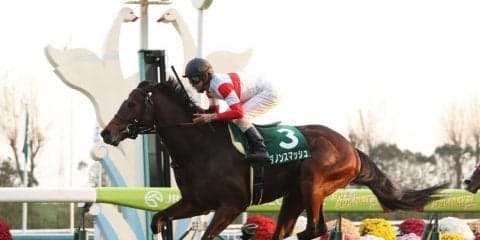 【京阪杯】ダノンスマッシュが最内から抜け出す！重賞初V