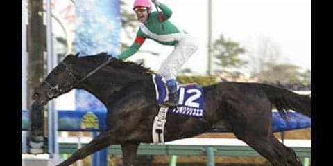 ダートGⅠのチャンピオンズＣは、名種牡馬の血を引く２頭に頼るべし