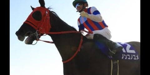 夢膨らむチャンピオンズＣ。ＧＩ馬か中京実績馬の人気落ち３頭が逆襲か