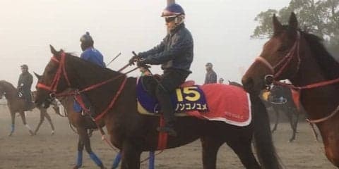 【チャンピオンズC】ノンコノユメ  直線の長いコースで本領発揮