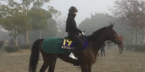 【チャンピオンズC】ルヴァンスレーヴ  3歳馬ながら主役を務める