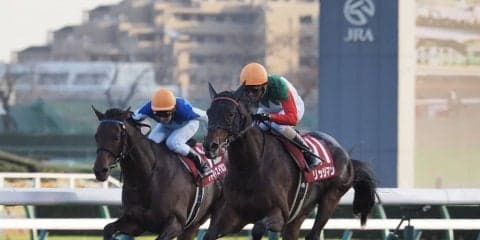 【ステイヤーズS】リッジマンが重賞初制覇！好位から差し切りV