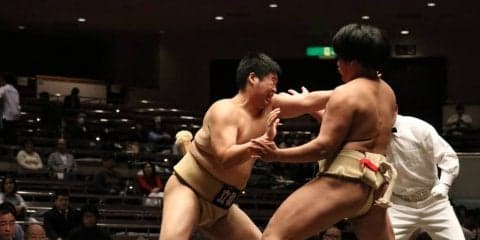 【相撲部】どすこい！半世紀ぶりの快挙だ！