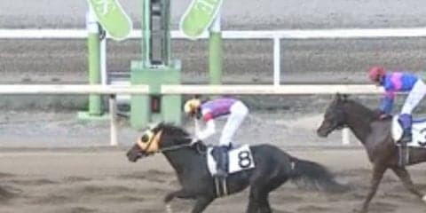 【園田C2二3歳上】転入初戦フォルシュナイトは7着