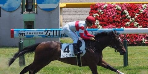 【阪神ジュベナイルF】出走馬の調教後の馬体重