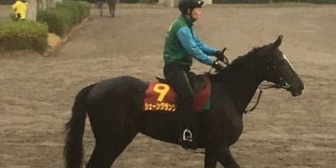 【阪神JF】シェーングランツ 藤沢和師「何より武（豊）くんにはお庭のようなコース」