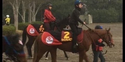 【阪神JF】ウインゼノビア 松若「このチャンスを生かせるように頑張りたいです」